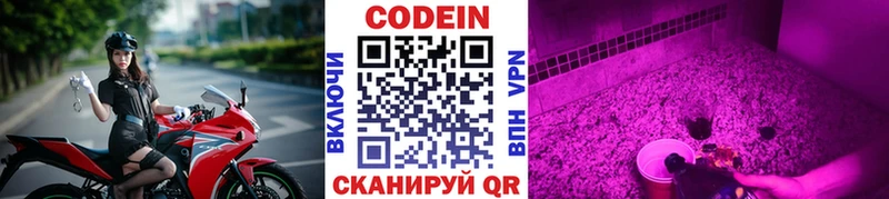 Купить закладки  Апатиты  Кодеиновый сироп Lean Purple Drank 