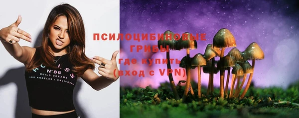 синтетический гашиш Белокуриха