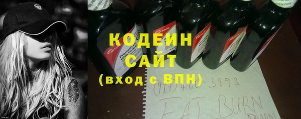 крисы Магас