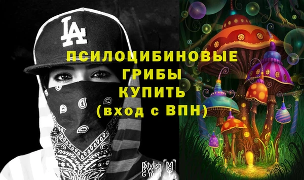 синтетический гашиш Белокуриха