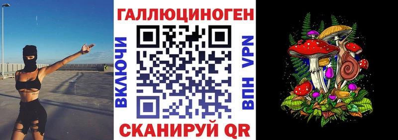 Купить  Апатиты  Псилоцибиновые грибы Cubensis 